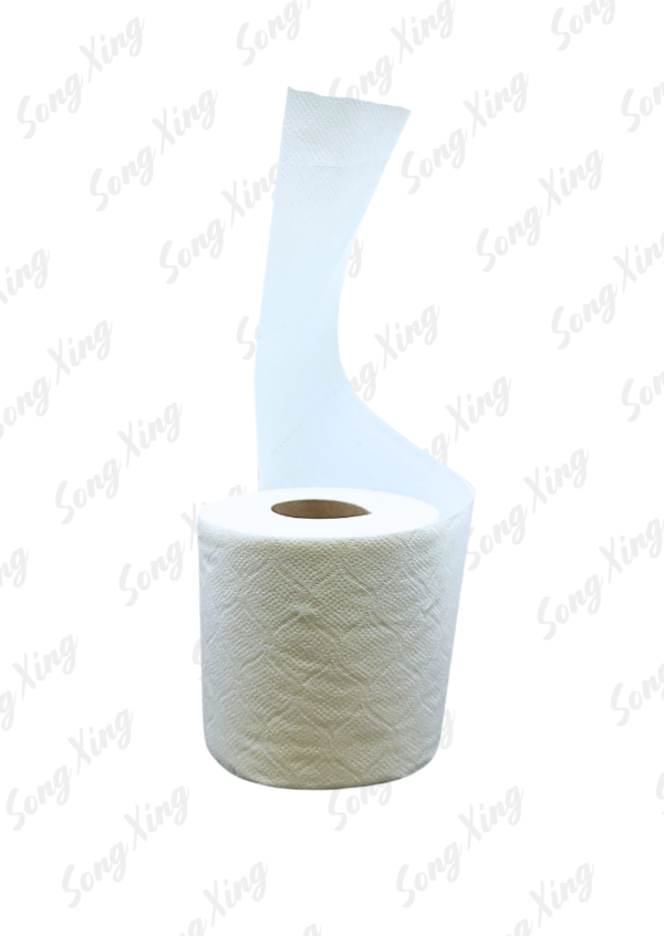 Toilet Papers (2)